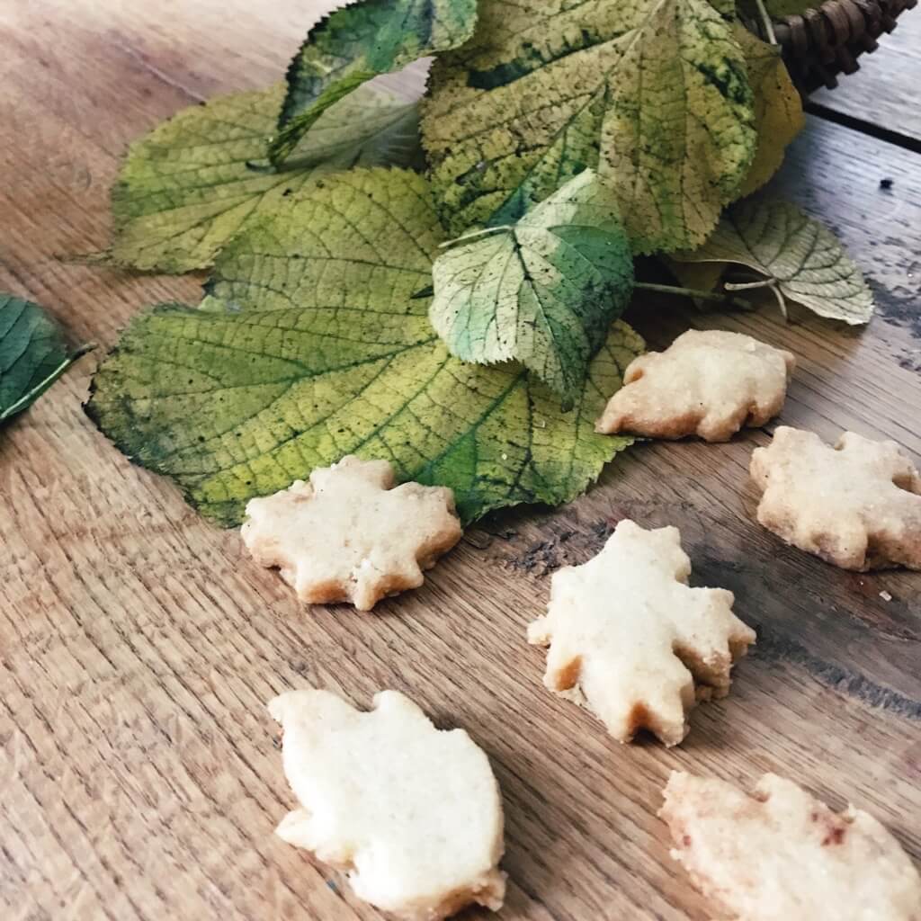 Schnelle Kekse Ohne Milch Und Ei Geborgen Wachsen