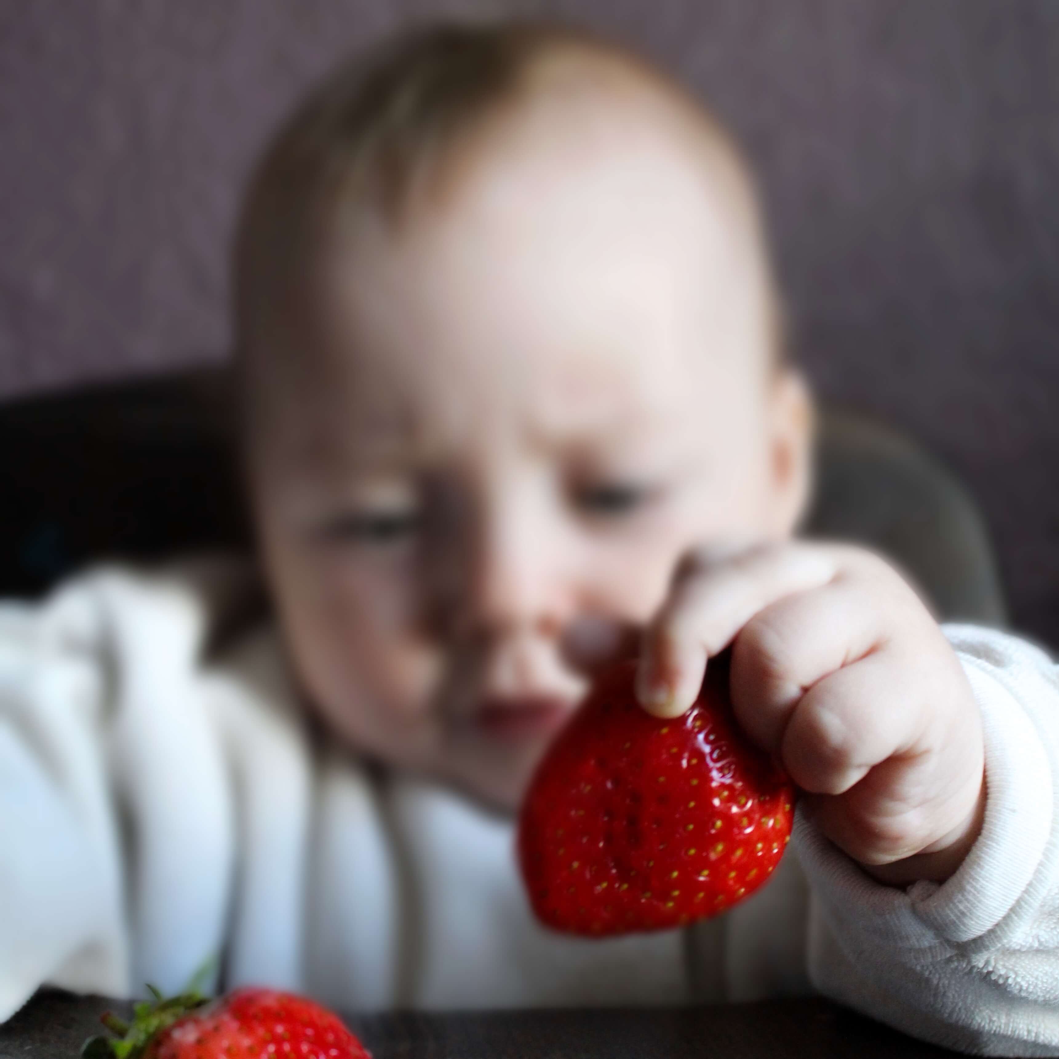 Die Erste Beikost Von Der Mutter Milch Zu Brei Oder Fingerfood